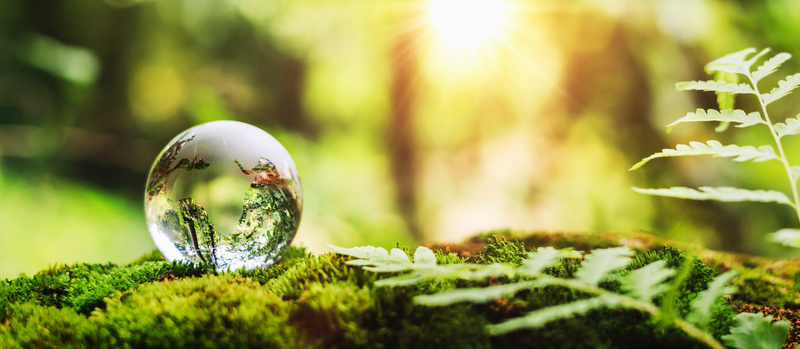Globus aus Glas auf Moos